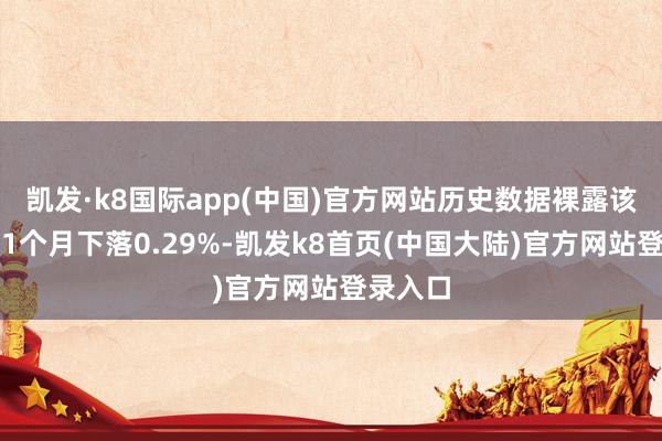 凯发·k8国际app(中国)官方网站历史数据裸露该基金近1个月下落0.29%-凯发k8首页(中国大陆)官方网站登录入口