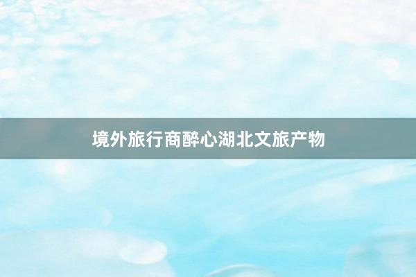 境外旅行商醉心湖北文旅产物