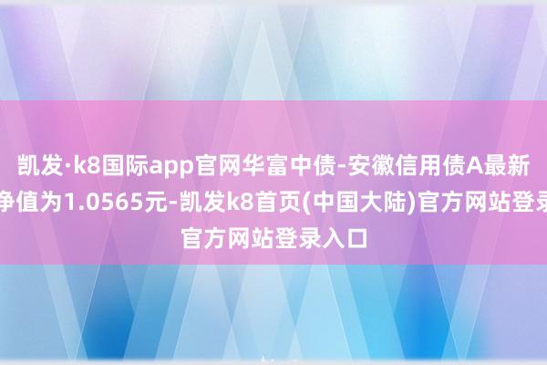 凯发·k8国际app官网华富中债-安徽信用债A最新单元净值为1.0565元-凯发k8首页(中国大陆)官方网站登录入口
