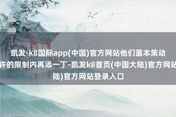 凯发·k8国际app(中国)官方网站他们蓝本策动在计谋允许的限制内再添一丁-凯发k8首页(中国大陆)官方网站登录入口